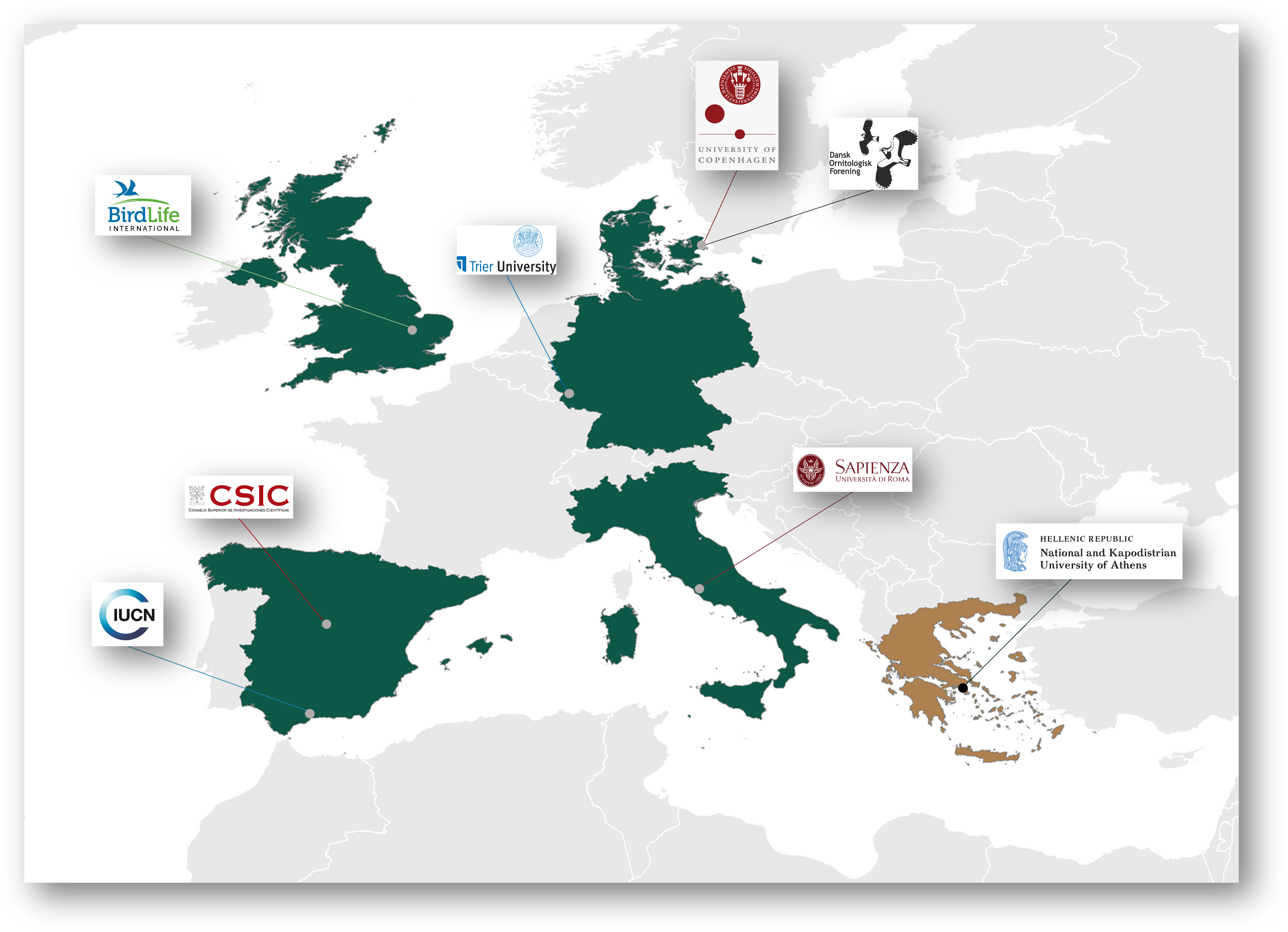 consortium image
