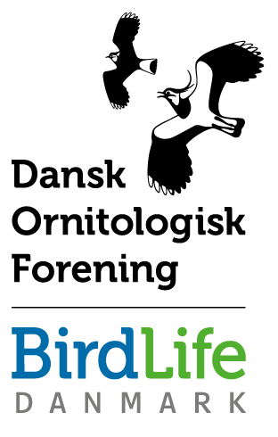 DOF logo