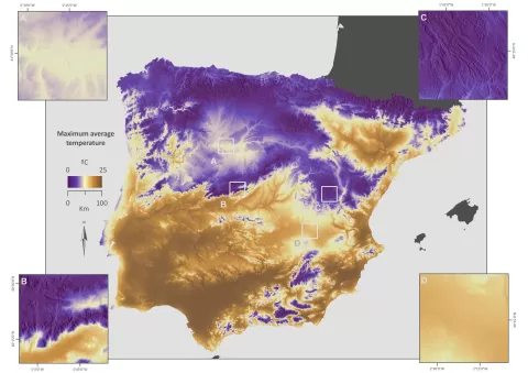 Spain's maximum average temperature