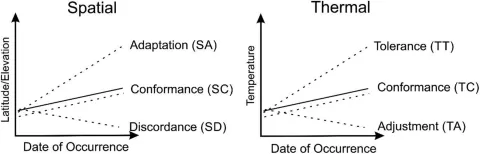 Hypothetical temporal tendencies of the species occurrence data across spatial and temperature gradients.
