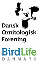 DOF logo