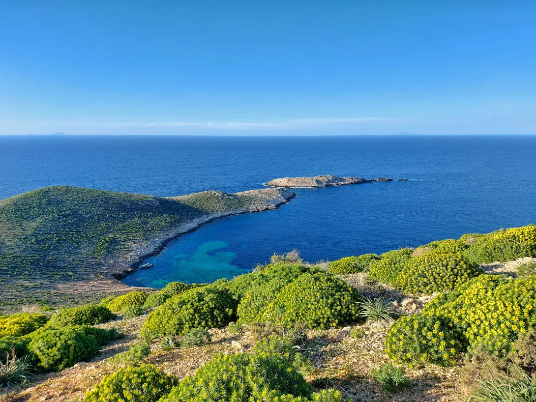 Astakida image