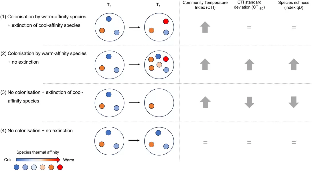 Expected results for community metrics (CTI, CTISD and species richness) depending on which process is dominant in community turnover.